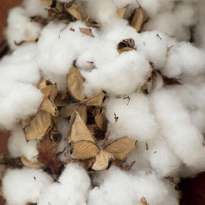 Fil à tricoter en coton peigné 100% turc, fil à tisser à la main avec motif brut NE 20-40/1 - Product Image 2