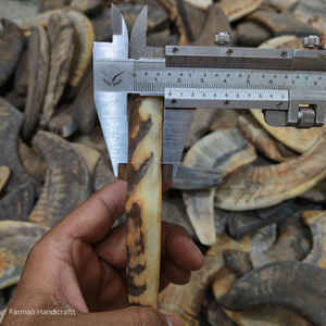 Punta de cuerno de carnero natural para mangos de cuchillos personalizados, suministro artesanal duradero a precio económico - Product Image 4