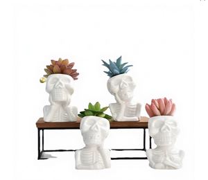 <b>Succulent</b> Potted Ceramic Glazed Flower <b>Pot</b> White Porcelain Cartoon Skull Design Personalized Eco-Friendly Indoor Outdoor Garden - Product Image 3