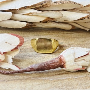 Luxury Style Signet <b>Ring</b> Minimalist Brass <b>Ring</b> For Men's 18k Gold Plated Square Geometric Band Wholesale <b>Statement</b> Modern <b>Ring</b> - Product Image 3