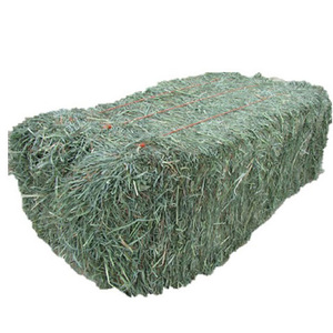 Top grade Alfafa Hay for Animal Feeding <b>Stuff</b> Alfalfa / Timothy / Alfalfa Hay for Sale - Product Image 2