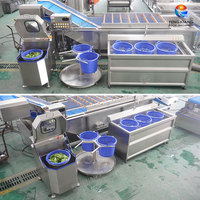 Commerciële ultrasone ozon groente- en vleeswasmachine en centrifugeerset, kruiden-, munt- en sla-reiniger en droogmachine