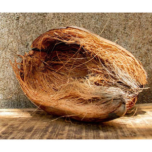Feuilles de fibre de coco en vrac, fibre de coco écologique et durable à vendre - Product Image 4