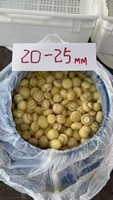 Venta al por mayor de champiñones salados deliciosos enlatados en bidones, champiñones enteros frescos conservados, champiñones blancos.