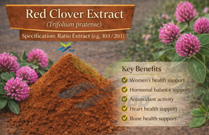 Suministro Directo de Fábrica HGO de Extracto Puro de Trébol Rojo Natural, Especificación de Grado Alimenticio, Extracto en Proporción 10:1 - Product Image 2