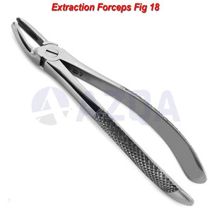 Forceps d'extraction dentaire en acier inoxydable pour molaires inférieures, pinces chirurgicales dentaires pour usage professionnel en chirurgie buccale - Product Image 3