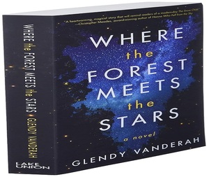 ที่ซึ่งป่าเข้ากับดวงดาว โดย เกลนดี้ แวนเดอราห์ หนังสือภาษาอังกฤษปกอ่อน นวนิยายครอบครัวที่อบอุ่นใจ - Product Image 1