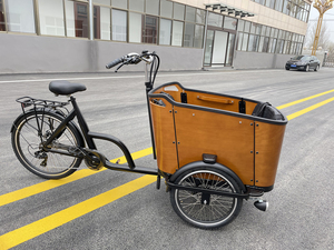 Bakfiet électrique à 3 roues vélo cargo à trois roues vélo cargo électrique adulte avec panier pour chien - Product Image 5
