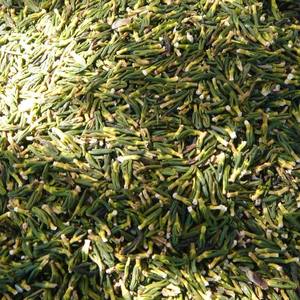 MEILLEUR PRIX Blue Lotus 2025 Lotus Embryon Herbe Séchée Naturelle pour Thé et Relaxation Coffret Cadeau - Product Image 3