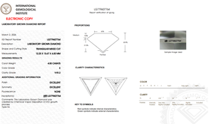 Diamante Cultivado en Laboratorio Certificado por IGI, Corte Trillón de 4.55CT, Color E, Claridad VVS2, Joyería Geométrica Personalizada con Corte Trillón - Product Image 2