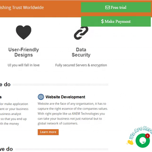 Développement de sites web personnalisés avec une approche de conception mobile first - Product Image 1