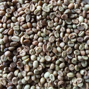 Precios Competitivos, Granos de Café Verde Robusta Orgánico, Materia Prima Negra Baja en Grano para Tostar, Grado de Exportación Estándar - Product Image 1