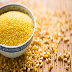 Harina de maíz para alimentación animal, para ganado, aves de corral, cabras, ovejas y cerdos, rica en energía y nutrientes, ayuda a mejorar la digestión y el crecimiento. - Product Image 1
