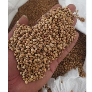 Especias de cilantro de águila de alta calidad secas a granel con 100% de pureza 25kg/35kg/50kg opciones precio de oferta barato - Product Image 3