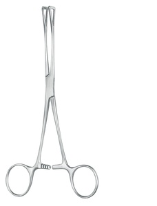 Pince à tissus Duval de haute qualité Pince homéostatique Instruments chirurgicaux en acier inoxydable - Product Image 3