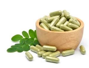 Poudre d'extrait végétal de qualité alimentaire WARRLY, 99% pure, feuilles de Moringa, extraction par solvant, contenant en plastique, plante naturelle, emballée sous vide - Product Image 5