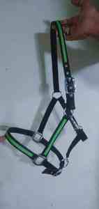 Camisas de equitación para mujer, duraderas, de alta calidad, con logo personalizable, de secado rápido, unisex, al por mayor - Product Image 4