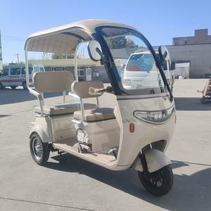 Buy TVS Electric 250cc Motorized Cargo Tricycle Tuktuk Open Body Adult 1000W 48V 400kg EEC & Dot Certified <b>2</b> <b>Passengers</b> Steel - Product Image 4