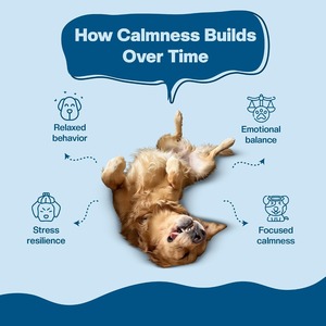 Super Stress Buster Calming Chews pour chiens L-Théanine Ashwagandha Comprimés à mâcher sans céréales Toutes races Supplément quotidien - Product Image 5