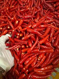 Piment rouge congelé entier IQF sous vide, qualité supérieure, légumes surgelés très piquants - Product Image 4