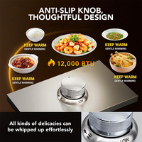 Barbecue encastrable haut de gamme moderne et luxueux en acier inoxydable SUS 304 de qualité supérieure, 12 pouces, avec brûleur à gaz simple latéral