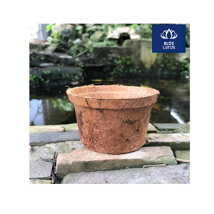Meilleures ventes : Pot en fibre de coco écologique, pur coco bio, idéal pour la culture des racines et la plantation des fleurs, prix direct. - Product Image 1