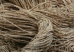 Wholesale Banana <b>Fiber</b> Supplier - Natural Eco-Friendly <b>Fiber</b> for Textile Industry - Product Image 2