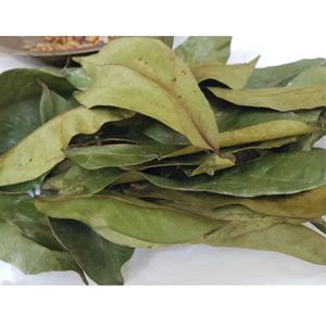 Thé aux herbes naturelles, feuilles de corossol séchées, produit de qualité d'exportation - Product Image 1