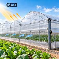 Serre multi-travées en film plastique avec structure en acier galvanisé et couverture en film PE pour la culture commerciale de légumes, fleurs et produits agricoles