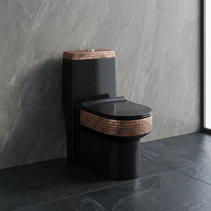 WC monobloc moderne en céramique, à fixation au sol, avec réservoir encastré et double chasse, noir mat, directement de l'usine - Product Image 2