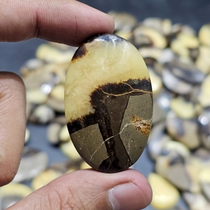 Lote de cabujones de septariana amarilla natural, lote de piedras preciosas de septariana para hacer joyas, tamaño libre, venta al por mayor de piedras preciosas - Product Image 4