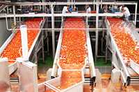 Industriële fruitverwerkingsapparatuur: fruitpers, -pulper, -wasser, -schiller, -snijmachine voor commerciële voedselproductie