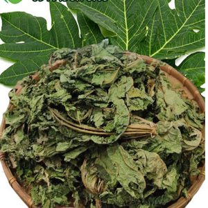Feuilles de papaye séchées de qualité supérieure, 100% thé naturel pur coupé dans les fermes du Vietnam, papaye séchée pour une boisson apaisante à base de plantes - Product Image 2