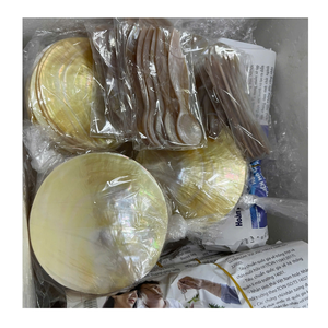 Plateau en nacre naturelle fait main en forme de coquillage pour rangement décoratif – Vente en gros - Product Image 4