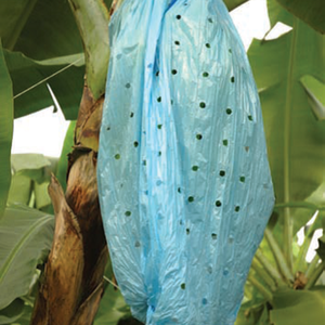 Protección Ecológica para Bananas, Tomates y Otras Frutas, Funda Reutilizable de PP/HD No Tejido para Frutas, Bolsa de Plástico Termosellable - Product Image 2