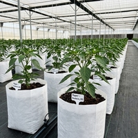 Groothandel Cocopeat kweekzakken - 100% PP materiaal, gatopties voor hydroponie, kas, all-season landbouw, beste prijs-kwaliteitverhouding