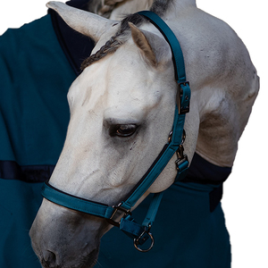 Sunrise Equine Industries - Halteurs pour chevaux en nylon réglables, style corde violette, équipement équestre - Vente en gros d'halteurs pour chevaux - Product Image 5