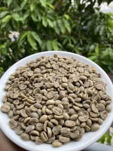 Granos de Café Verde Arábica Yellow Bourbon Vietnam, Procesamiento con Miel, 98% de Madurez, Cosecha Nueva y Fresca - Product Image 4
