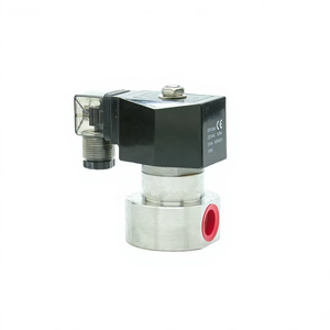 Vanne solénoïde haute pression électrique en acier inoxydable 0-120 bars 1/8'' 1/4'' - Product Image 1