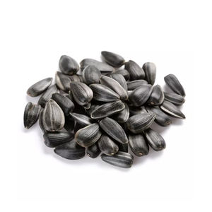 Graines de tournesol de la meilleure qualité en vente à prix avantageux - Product Image 3