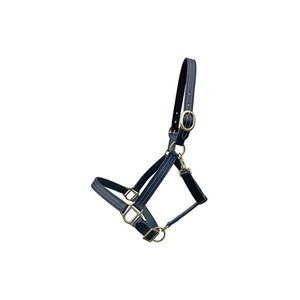 Cabestro para Caballo de Cuero y Nailon de Primera Calidad con Hebillas de Bronce y Correas Moradas para Uso Ecuestre - Product Image 5