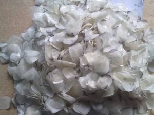 Escamas de pescado seco-PRODUCTOS DE VIETNAM DE ALTA CALIDAD-Sra. Jennie - Product Image 5