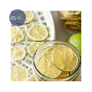 Très demandé : Tranches de citron vert sans pépins lyophilisées, qualité supérieure, garniture pour bar à cocktails, emballage sous vide, vente en gros - Product Image 1