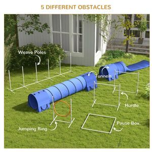 Attrezzatura per Allenamento Agility Canino Modello D0100X3TKVP per Atleti Canini - Product Image 5