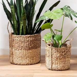 Macetas de Jacinto de Agua Ecológicas para Jardín, Precio Más Bajo, Macetas de Fibra Natural - Product Image 6