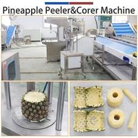 Kleine schaal ananasverwerkingslijn: machine voor het snijden, schillen, ontpitten en snijden van ananas voor de fruitindustrie