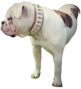 Köpek deri ağır hizmet özel tasarım tasarımcı yaka/pet toptan aksesuarları tedarik üretim fiyatı