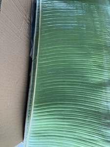 Feuilles de bananier fraîches de qualité supérieure, feuilles vertes naturelles, fournisseur en gros du Vietnam pour l'emballage alimentaire et la restauration - Product Image 3