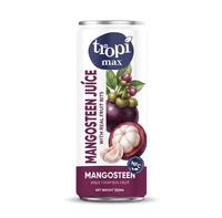 TROPI MAX Fruitsapdrank Sinaasappel Ananas Mangosteen 250ml 330ml 500ml Private Label OEM ODM