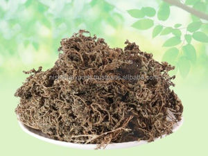 Dregea Volubilis Sneeze Wort Nakchikni Centipeda Minima Nak Chikni Nakchhikni Extracto de plantas de hierbas crudas secas Producto herbario - Product Image 3